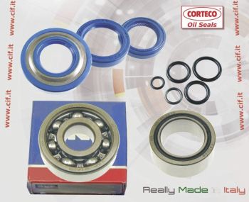 Kit revisione albero motore cono 20mm, con sede cuscinetto da 25mm, SKF+NA+CORTECO+O-Ring per PK125/ ETS/ N/ XL
