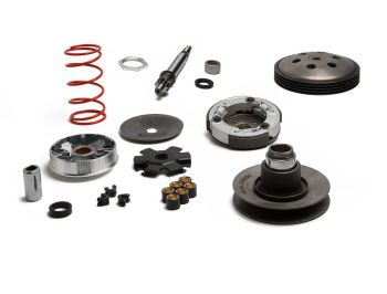 Over range kit MALOSSI trasmissione a variatore per Piaggio CIAO/ PX/ SI/ Bravo/ Superbravo/ Grillo/ Boss