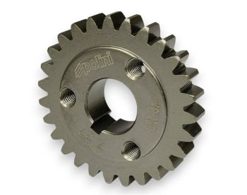 Pignone primaria z=28 POLINI per rapporti 27-69 denti dritti