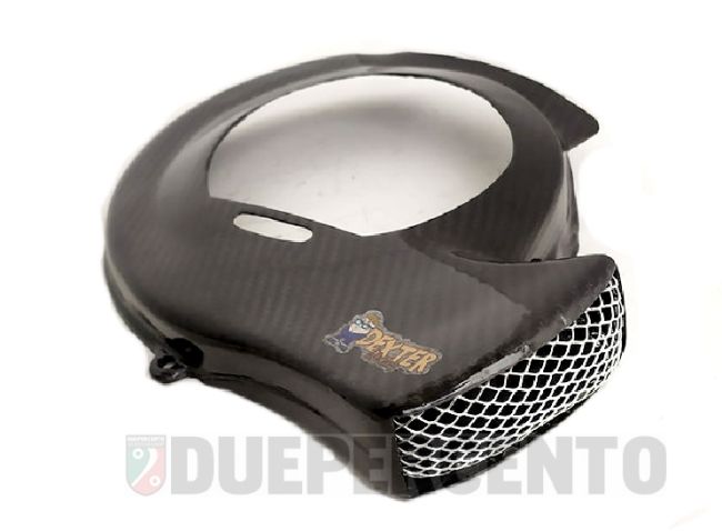 Carbonio Tomas Compositi Copriventola Vespa 50 Special Coprivolano